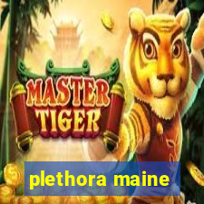 plethora maine