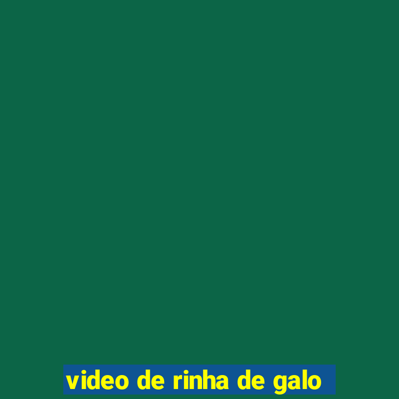 video de rinha de galo