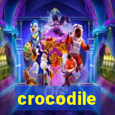 crocodile-pg.com