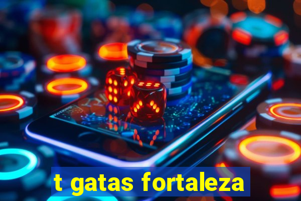 t gatas fortaleza