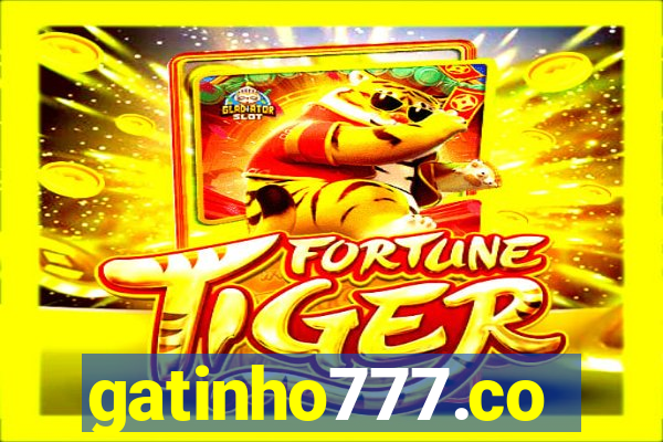 gatinho777.co