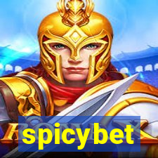 spicybet-2.com