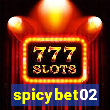 spicybet02