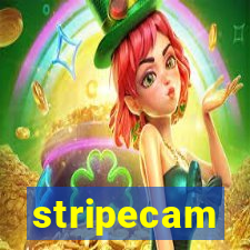 stripecam