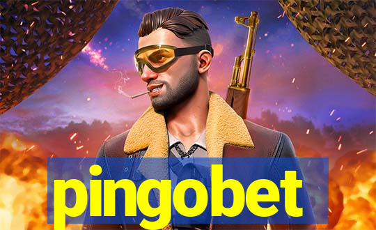 pingobet