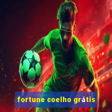 fortune coelho grátis