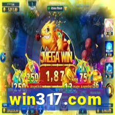 win317.com