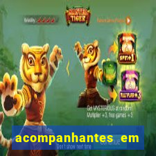 acompanhantes em nova mutum