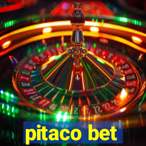 pitaco bet