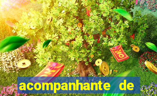acompanhante de luxo porto velho