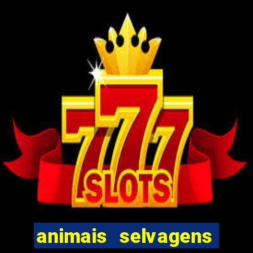 animais selvagens fotos e nomes