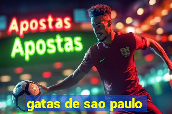gatas de sao paulo
